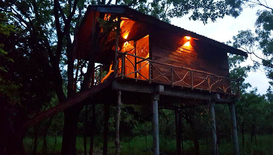 images/treeHouse/img-1.jpg