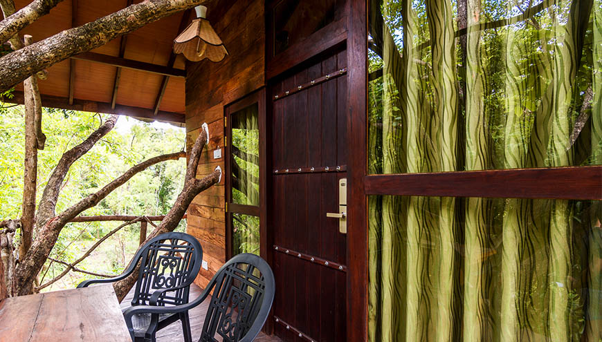 images/treeHouse/img-3.jpg